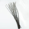 pussywillow