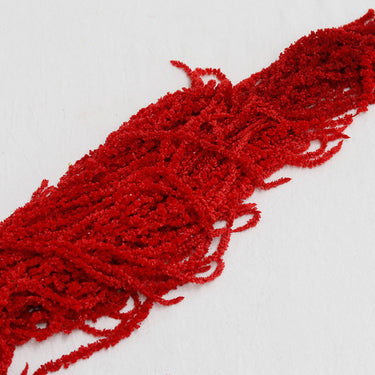 red amaranthus