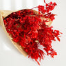 red preserved dodonaea viscosa