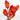 Red Protea Repens