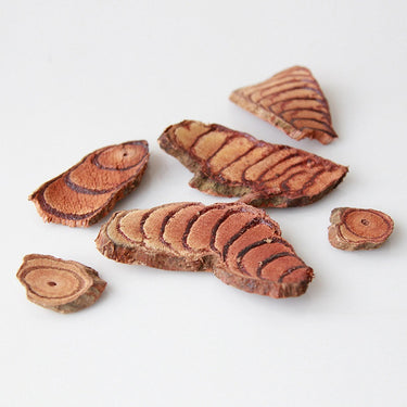 suberect spatholobus