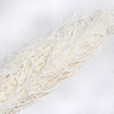 white amaranthus
