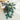 white and green eucalyptus cinerea 0