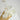 white bleached eucalyptus cinerea