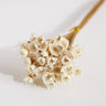 white glixia flower