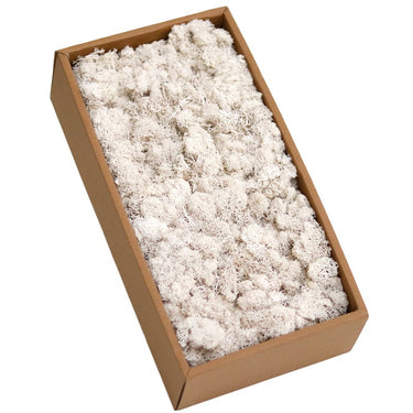 white preserved moss