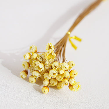 yellow glixia flower