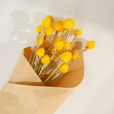 Gomphrena Flower, Preserved, Yellow