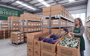 A clean, bright, highly organized professional B2B floral warehouse in the UK