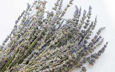 Everything You Need to Know About Dried Lavender！
