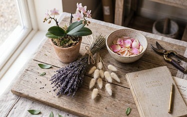 Scent, Poetry, and Care: The Ultimate Botanical Guide to 24 Timeless Blooms