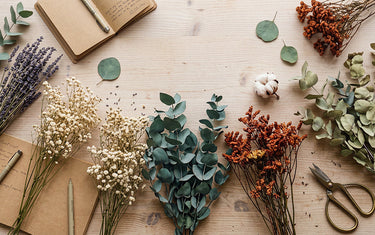 What Makes a Professional Dried Flower Supplier? A Quality Guide for UK Florists