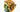 eyeliner rose dried yellow