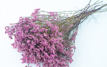 Flower Colour Meanings: A Comprehensive Guide