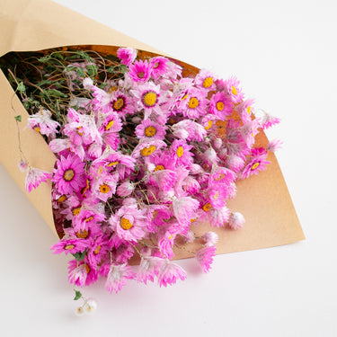 Dried Daisy Flowers Bouquet, Real Dry Pink Flowers With Stems