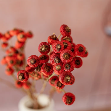 dried rose hips, natural red, 4 stems, 40cm