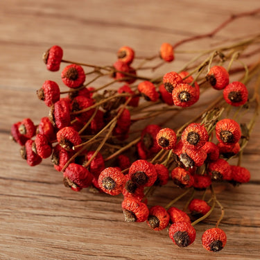 dried rose hips, natural red, 4 stems, 40cm