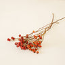 dried rose hips, natural red, 4 stems, 40cm