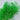Preserved Broom Bloom, Green, 50CM