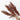 Dried Broomcorn, Natural Red, 5 Stems, 55CM