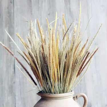 Dried wolfbane, Natual Brown, 100 Stems, 60CM