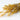 Preserved Melaleuca Bracteata, Ginger Yellow, 120G, 60CM