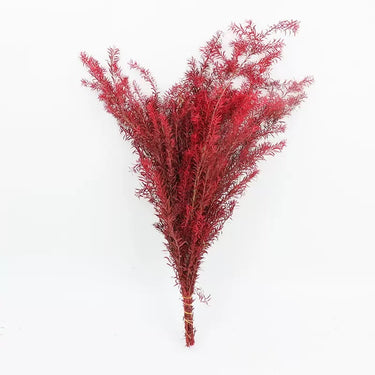 Preserved Melaleuca Bracteata, Red, 120G, 60CM