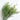 Love Grass (Eragrostis), Preserved, Green ,120g, 60cm