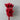 Bunny Tails, Red, 1 Bunch 60 items
