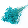 blue limonium