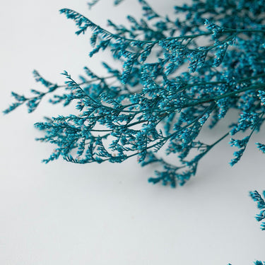 blue preserved love grass