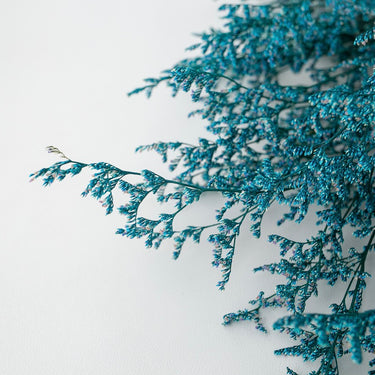 blue preserved love grass