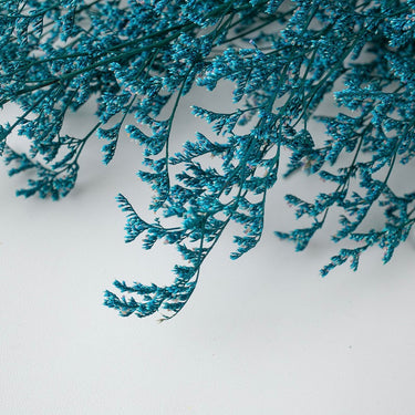 blue preserved love grass