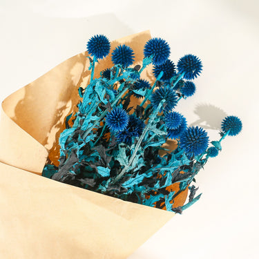 Thistles Echinops With Stems, Preserved, Blue, 20 Heads, 60cm