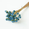 chamomile daisy light blue