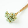 chamomile daisy light green