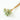 chamomile daisy light green