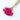 chamomile daisy magenta