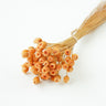 chamomile daisy orange