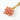 chamomile daisy pastel pink