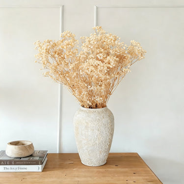 Preserved Gypsophila Flowers (Baby’s Breath), Natural Cream Bunch, 60cm, 100g