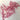 dark pink asparagus fern