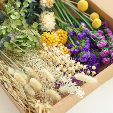 dried flower stems