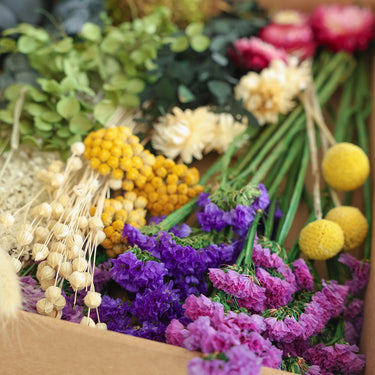 dried flower stems