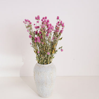 gomphrena flower, dried, natural purple