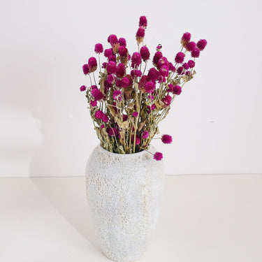gomphrena flower, dried, natural purple