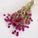 gomphrena flower, dried, natural purple