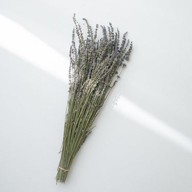 dried lavender 2