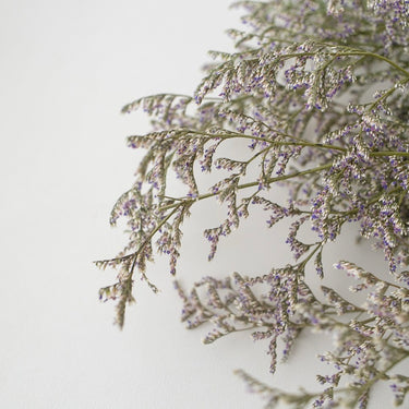 dried love grass natural colour