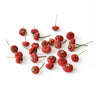 dried rose hips